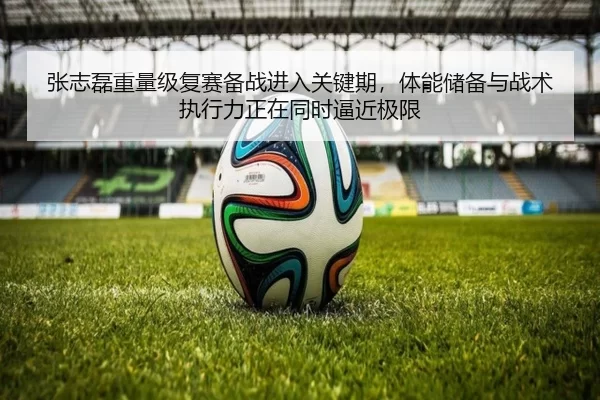 张志磊重量级复赛备战进入关键期，体能储备与战术执行力正在同时逼近极限